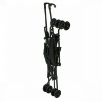 کالسکه عصایی دلیجان|کالسکه و لوازم جانبی|ساری, |دیوار