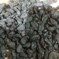 مویز