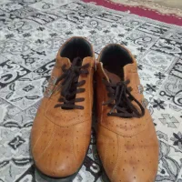 کفش درحد نو|کیف، کفش، کمربند|کلاله, |دیوار