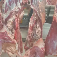 قصاب ماهر بیخسکار گوساله