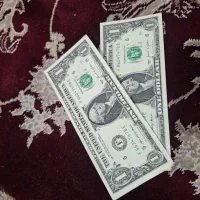 دلار کلسیونی سری(serie)