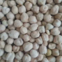 نخود|خوردنی و آشامیدنی|ملایر, |دیوار