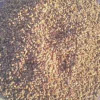 یه تن کنگه خلال برای دامداران