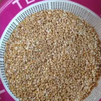 لپه خوش پخت تبریز 2کیلو