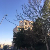 ۹۰ متری لوکس فول امکانات طبقه۱، دو خواب، دو واحدی|فروش آپارتمان|تهران, نظام‌آباد|دیوار