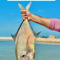 فقط مشتری پیام بده