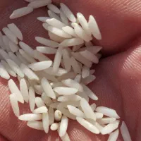 برنج درجه یک اعلا