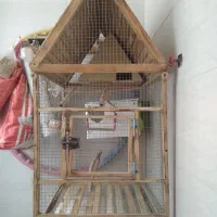 قفس چوبی|لوازم جانبی حیوانات|قزوین, |دیوار