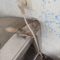 تلویزیون‌رنگی