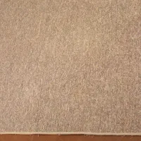 پالاز موکت دور دوزی شده ۶متری در حد نو سالم