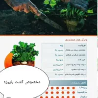 خرید و فروش بذر چغندر قند|خدمات باغبانی و درختکاری|پیرانشهر, |دیوار