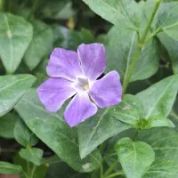 استاد آلومینیوم کار