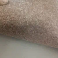 موکت پالاز