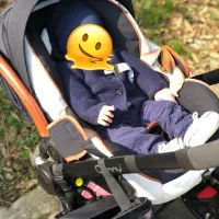 لوازم کودک|کالسکه و لوازم جانبی|بابل, |دیوار