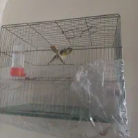 سهره دهندار