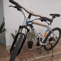 دوچرخه حرفه ای ترینکس