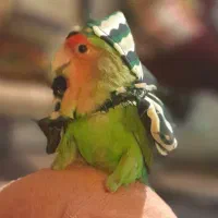 گمشده روز سیزده بدر