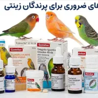 اصلاح بال پرندگان در منزل و خدمات دان و دارو|خدمات پیشه و مهارت|گنبد کاووس, |دیوار