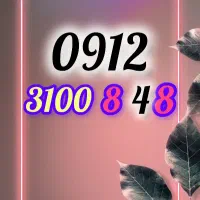 0912-3100-8-48