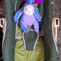 کریر نوزاد درحدنو همراه با سایبان