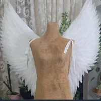 بال فرشته