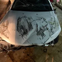 دنا پلاس تصادفی