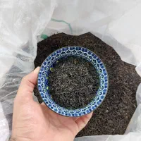 چای ممتاز وزین ۱۴۰۵