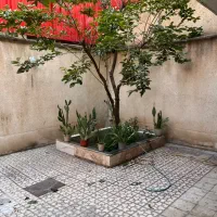 خونه ۱۲۰متری کوچه محمدیه