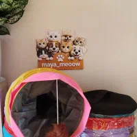تونل گربه برزنتی و لوازم و اسباب بازی گربه