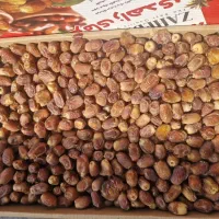 خرمای زاهدی وکبکاب پرس|عمدهفروشی|پیرانشهر, |دیوار