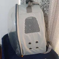 باکس حمل حیوانات خانگی ( گربه )|لوازم جانبی حیوانات|گرگان, |دیوار