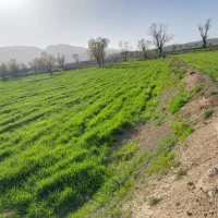 فروش باغ