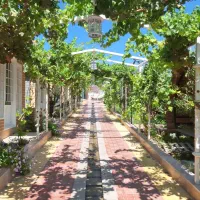 استخدام کمک سرآشپز در روستای شوراب کبیر|استخدام خدمات فروشگاه و رستوران|شهرکرد, |دیوار