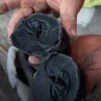 ذغال کبابی مرغوب جنگلی