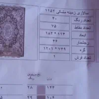 فروش دار قالی همراه نقشه فرش سالاری