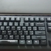 تایپیست هستم