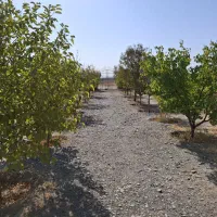 باغ ۷۰۰ متری سوران ناظریه حاشیه مترو گلبهار