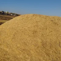 با سلام حدوده 20تن کاه دیم کمپاین