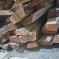 چوب گردو|عمدهفروشی|پیر بکران, |دیوار