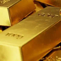 شریک سرمایه گذار