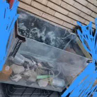 اکواریوم فروش فوری