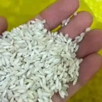 برنج عنبربو شوشتر دانه بلند