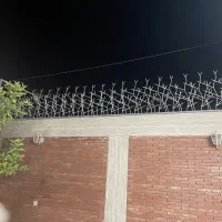 حفاظ شاخ گوزنی (بوته ای) روی دیوار منازل|مصالح و تجهیزات ساختمان|رفسنجان, |دیوار