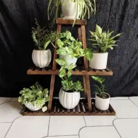 تولیدی شلف قفسه گلدان