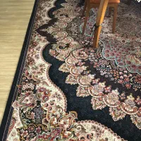 فرش ۱۲ متری|فرش|بندرعباس, |دیوار