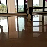 سنگ ساب زن نماشویی کفسابی کفساب مستقیم با استادکار|خدمات نظافت|نسیم‌شهر, |دیوار