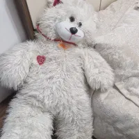 خرس سفیدبزرگ ۱متری