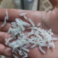 برنج|خوردنی و آشامیدنی|مشهد, فدک|دیوار