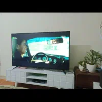 همخانه خانم