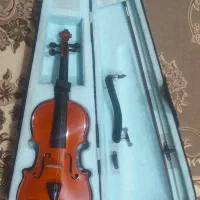 ویولن